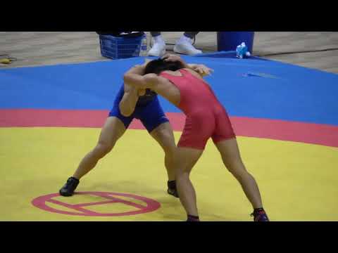 Freestyle Wrestling China   74kg Finals