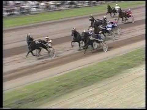 Sweepstakes N 1999 .  merries winnares Noellyn Boko en hengsten  Nepal Dan Boko