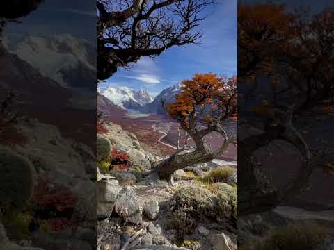 #argentina #colors #fall #autumn #nature #patagonia #mountain #hiking #photography #mountains