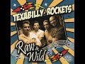 Texabilly Rockets - Doggone Fool