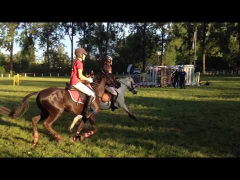 Barla Szabó Saci Pápa pónigalopp 2017.05.13.