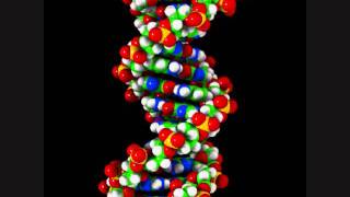 DNS-Wasserturm     -     Einstürzende Neubauten