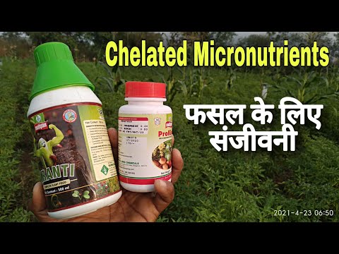 Micronutrient Fertilizers