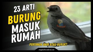 Download lagu 23 Arti Burung Ini Masuk Rumah, Pertanda Baik atau Buruk? mp3