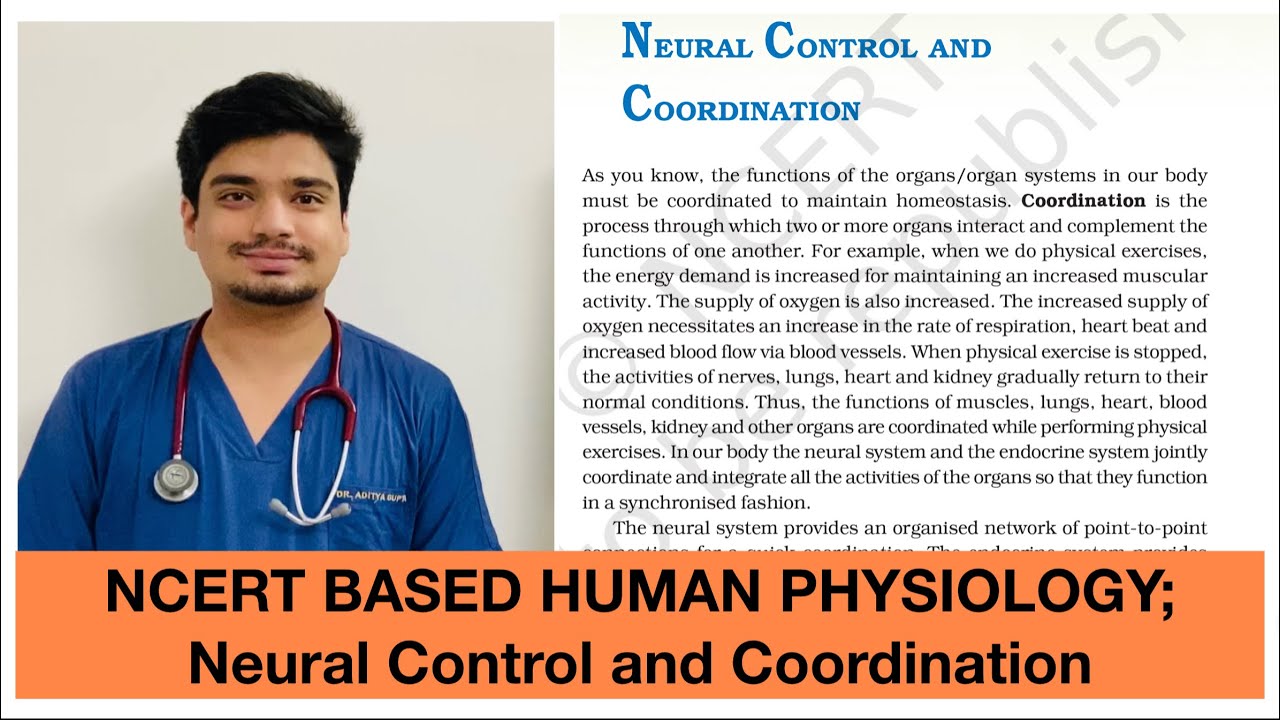 Neural Control and Coordination- Introduction- NCERT Based Human Physiology !