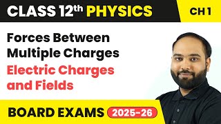 Forces Between Multiple Charges - Electric Charges and Fields | Class 12 Physics Chapter 1 | CBSE