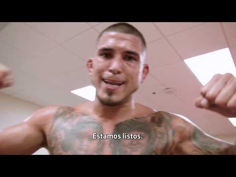 UFC 241 Embedded Video Vlog Episodio 6