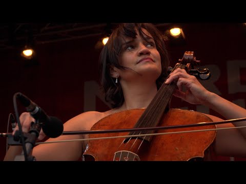 Die Nacht der Liebe - bei der Klassiknacht im Rostocker Zoo
