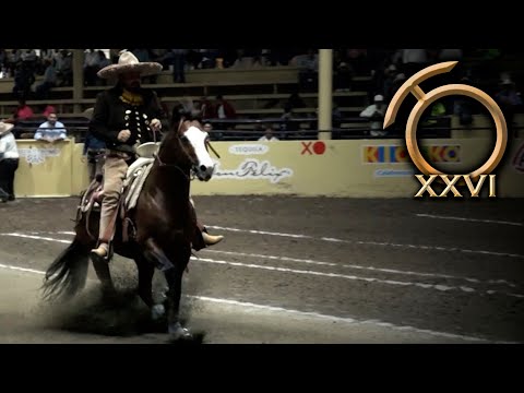 Charro Reins - Horse Shows August 28 - THV Millionaire Championship 2023