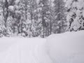 Winter Of The Heart 