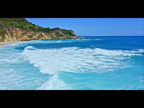 4k video | lk web music | natural video|