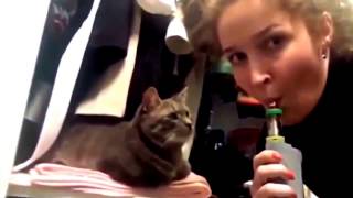Приколы\Коты-котики-собачки!!!