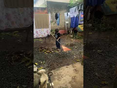 trabalhador #anapolisgoias #skateboarding #auladeviolao #auladeviolao #skate #pets