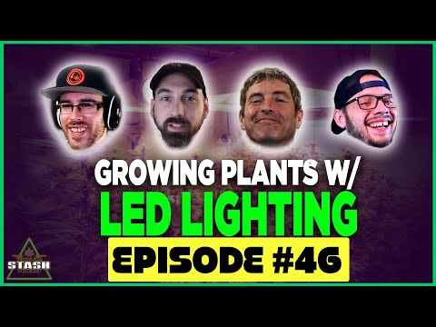 Growing Plants with LED Lighting wsg/ Shane Torpey of Migro LED - From the Stash Ep. 46