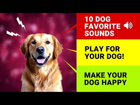 Top 10 Favorite Dog Sounds [Sounds Dogs LOVE ❤️🐶]