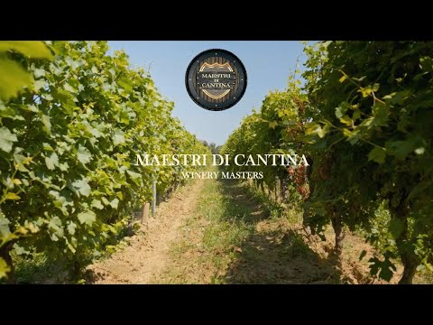 Viaggio tra le migliori cantine d'Italia | Maestri di Cantina - 1X05 - DERTHONA...
