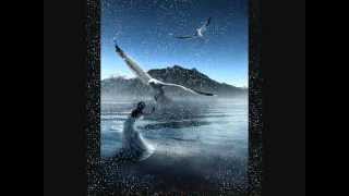 Canta libre - Neil Diamond