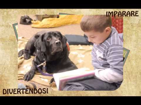 Asilo Alice Castello 2013