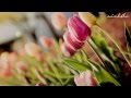 RED BEAN ||Davichi || East Of Eden OST || Lyrics ...