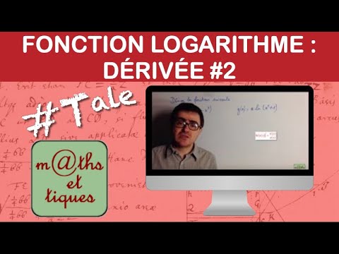 Deriving a logarithm function of the type ln(u) - Terminal