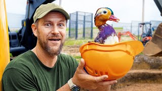 The Exotic Aviary gets an EPIC Duck Pond (Day 1)