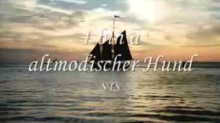 STS   I bin a altmodischer Hund