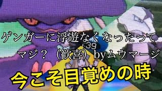 ムウマージ ポケットモンスター タタッコ タンドン スピアー ムウマージ ポケットモンスター タタッコ タンドン スピアー
