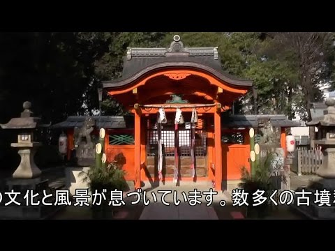 仏教学科 京都山城　山背古道を訪ねる1 (1)