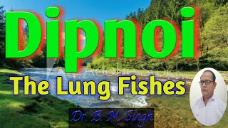Dipnoi, The Lung Fishes