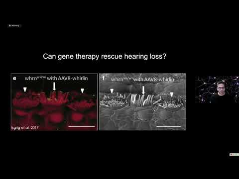 Uri Manor PhD, Biophotonics Core Director: 21st Century Imaging at the Salk Institute