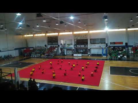 CDESMT - II Sarau Origami - Coátis