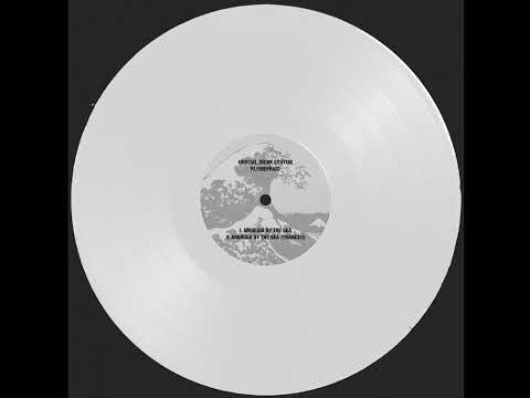 Orbital Drum System & Kleinefrigo - Amnesia By The Sea