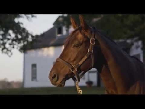2014 Keeneland November Sale - Last Full Measure