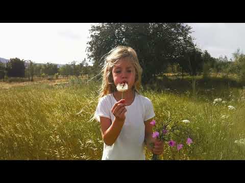 Roxy Dekker - Jouw Idee on Spotify Charts