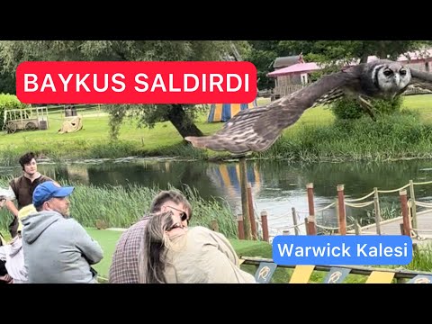 Baykuş Saldırdı - Warwick Kalesi - Yırtıcı kuşlar ve mancınık