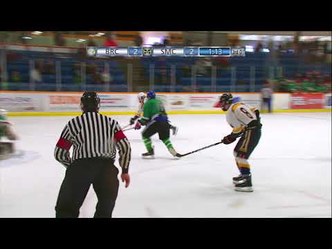 HWCAA Boys Hockey Championship - Bishop Ryan Celtics VS. St. Mary Crusaders