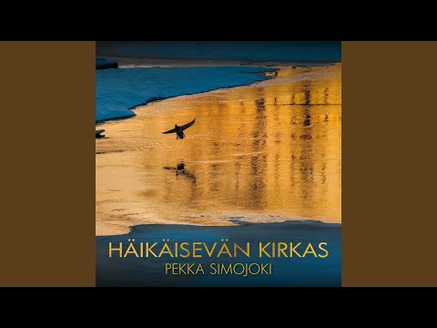 Hiljaisuuteen - Pekka Simojoki