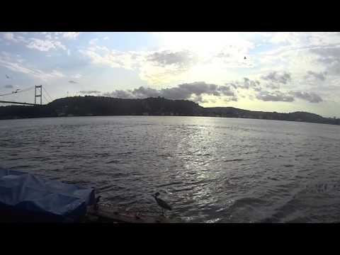 Stork on the Bosphorus - Wait till the end