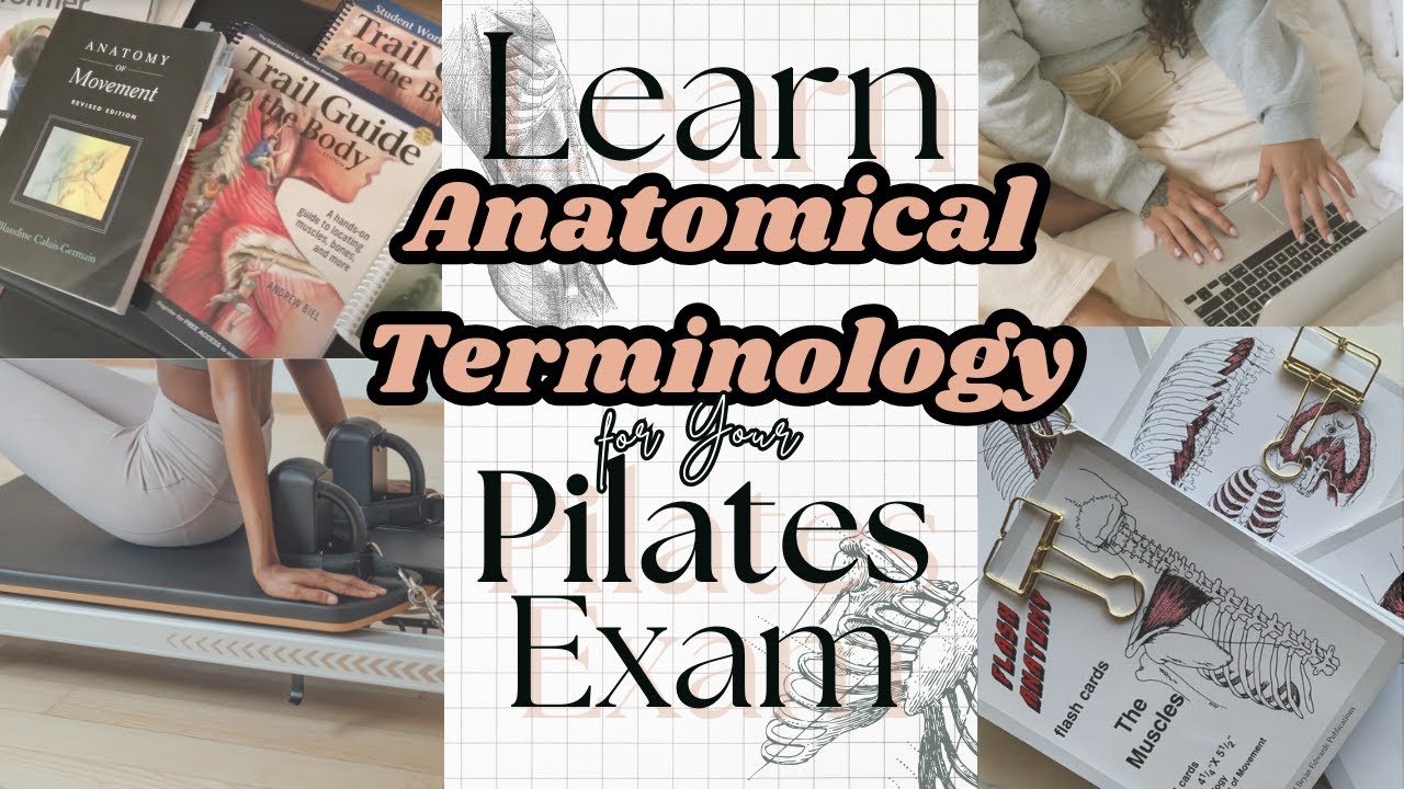 Anatomical Terms and References for Teaching Pilates