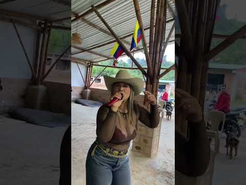 Cantándole a las mamita en San Marcos Acevedo Huila con varios colegas amigos  @zullymeneses