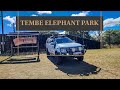 Tembe Elephant Park 2023