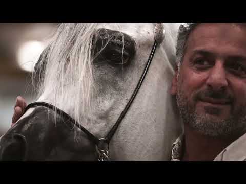 Dubai Stud Achievements 2024