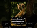 If you think Smaug is big , you have to see Ancalagon the Black #lotr #shorts #youtubeshorts #dragon