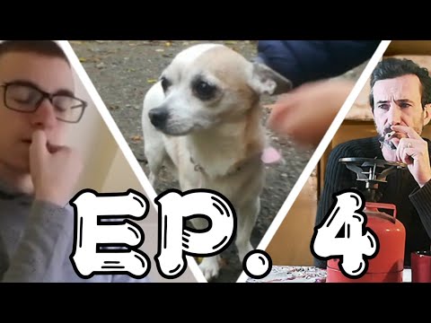 IL MIO AMICO È UNA SCHIAPPA EP. 4 - UN AMICO A QUATTRO ZAMPE