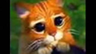 A PURO DOLOR ( SIN BANDERA).avi