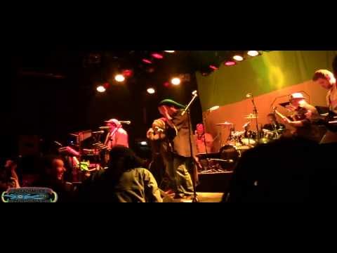 DREADLESS BAND - dub the roots & culture vibes pt5 @ bibelot dordrecht \ 16-11-2013