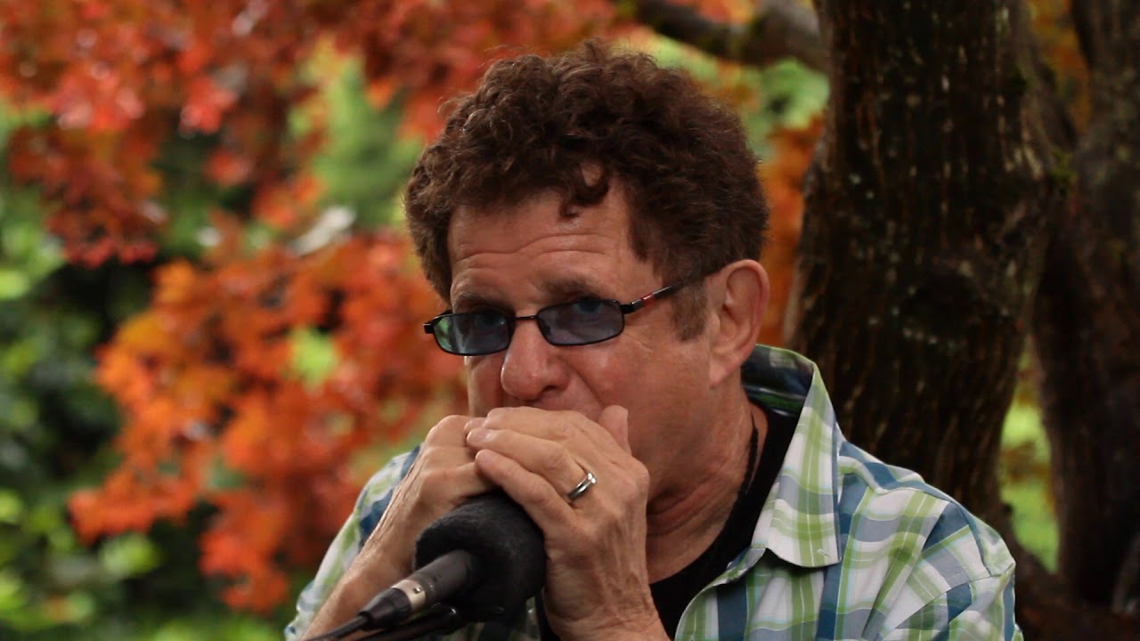 Lee Oskar B-Flat Diatonic 10 Hole Harmonica