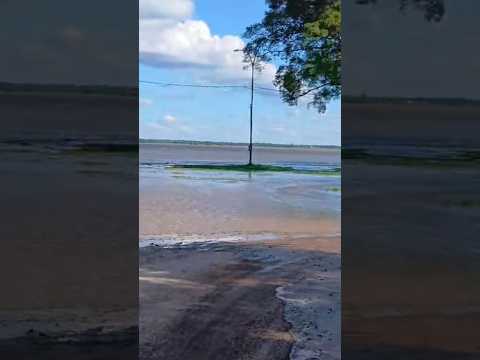 Crecida del Río Paraná en la isla Cerrito