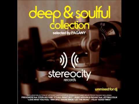 House Bros feat.Joy Malcolm  Love What You Feel (Roby Arduini & Pagany 2011 Remix)