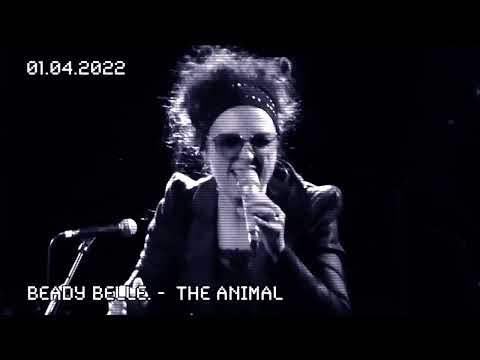 Beady Belle — «The Animal » (Official Music Video)